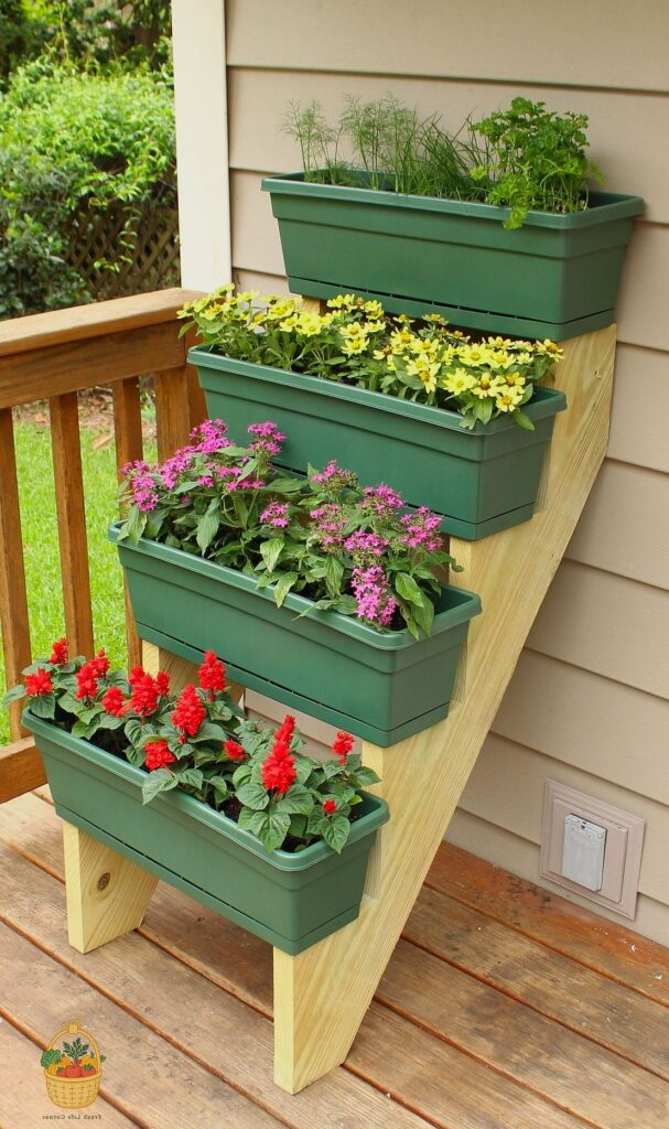 24 Eggshells Houseplants Every Gardener Needs to Know About 1 featured 1431