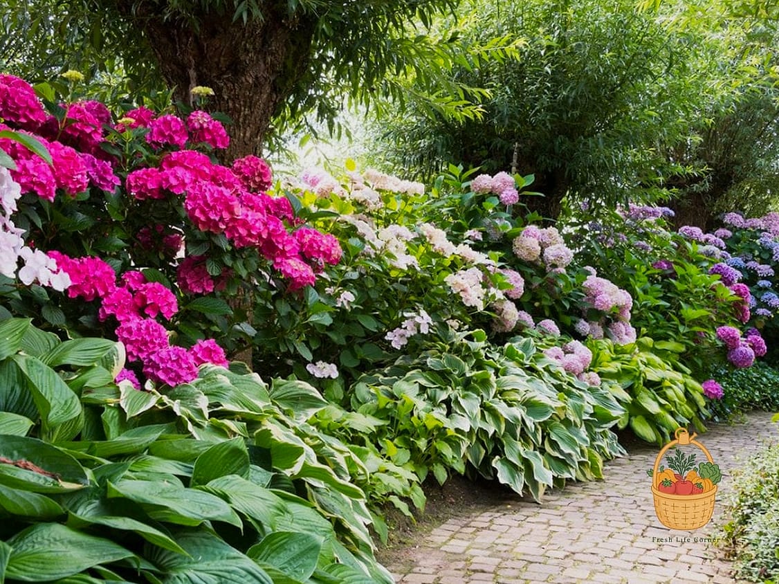29 Plants Pair Hydrangeas That Actually Work 12 Azaleas