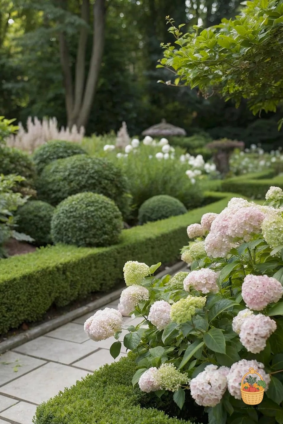 29 Plants Pair Hydrangeas That Actually Work 11 Boxwood