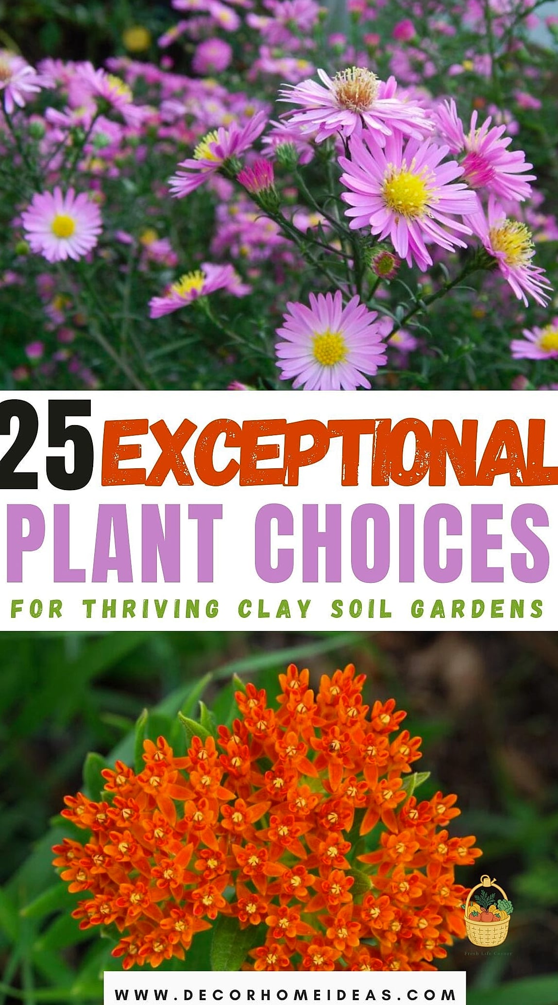 Choose Plants Suited to Greenhouse Life