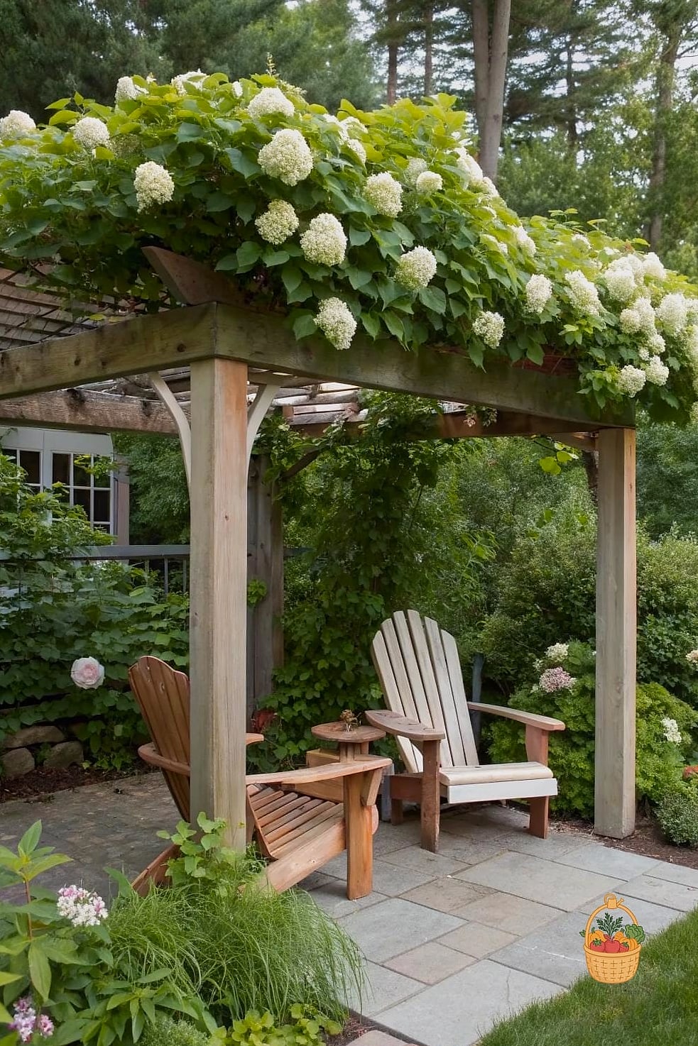 20 Climbing Plants For Pergola And Arbor That Will Transform Your Garden 15 Climbing Hydrangea Alternative: Akebia