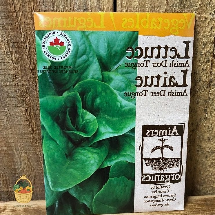 Deer Tongue Lettuce