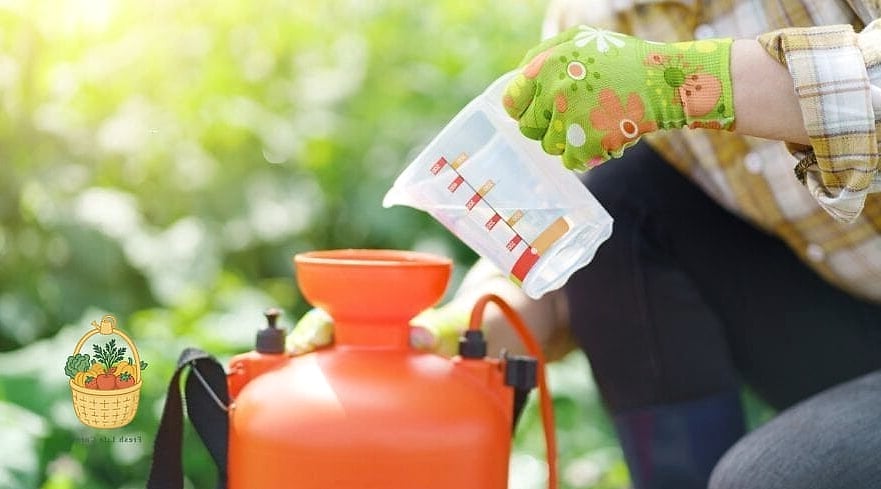 Fertilizing and Pruning