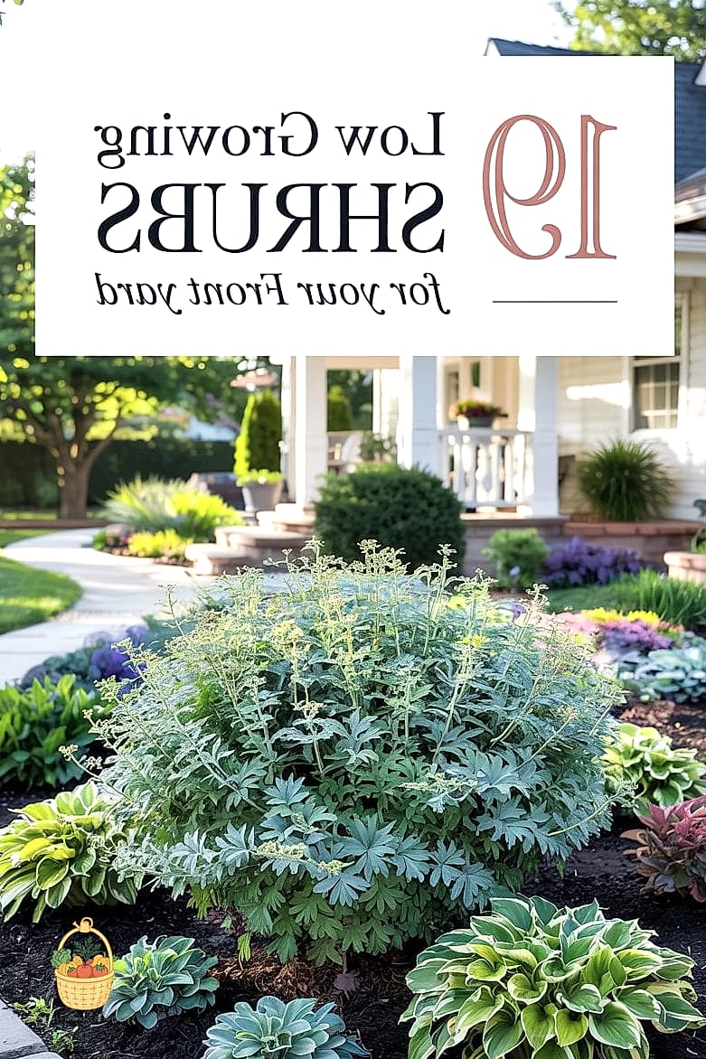 Get the Soil Right Before You Plant