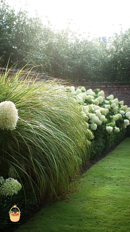 29 Plants Pair Hydrangeas That Actually Work 8 Hakone Grass and Sedge Combos Aside, Try Carex