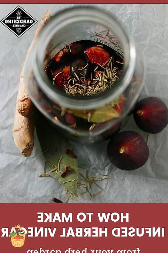 28 Ways To Use Rosemary Every Gardener Needs to Know About 4 Herbal Vinegar
