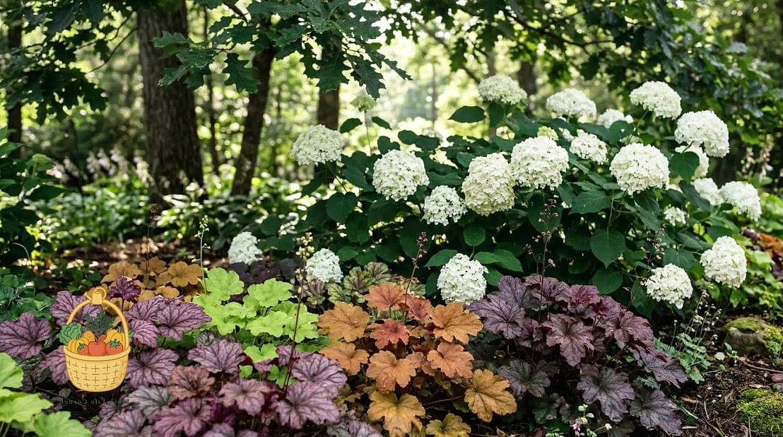 29 Plants Pair Hydrangeas That Actually Work 5 Heuchera (Coral Bells)