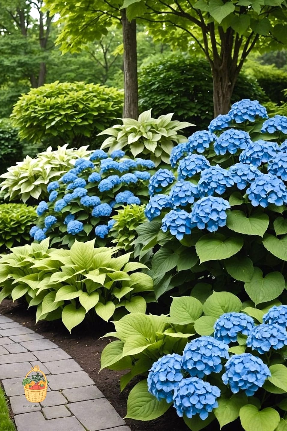 29 Plants Pair Hydrangeas That Actually Work 2 Hostas