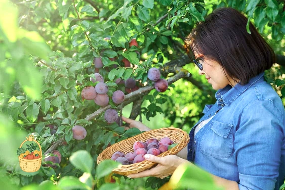 Picking the Perfect Planting Spot