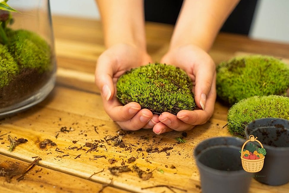 Picking the Right Container or Space
