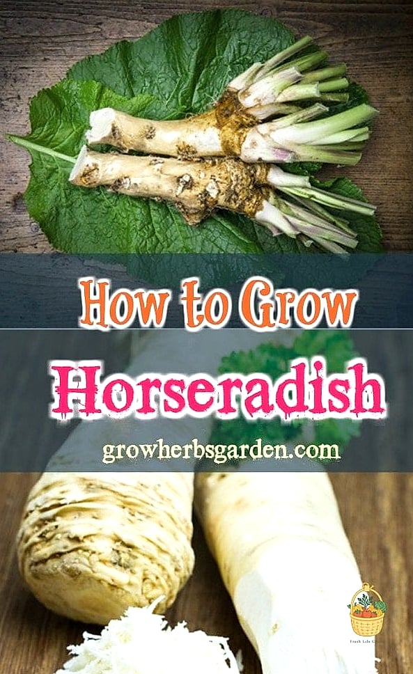 Propagation Tips