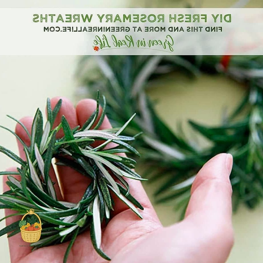 28 Ways To Use Rosemary Every Gardener Needs to Know About 16 Rosemary Wreaths