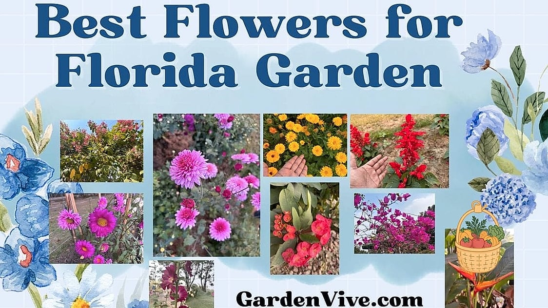 Flowers Grow In Florida Year Round — Everything You Need to Know 13 Seasonal Care Tips for Year-Round Blooms