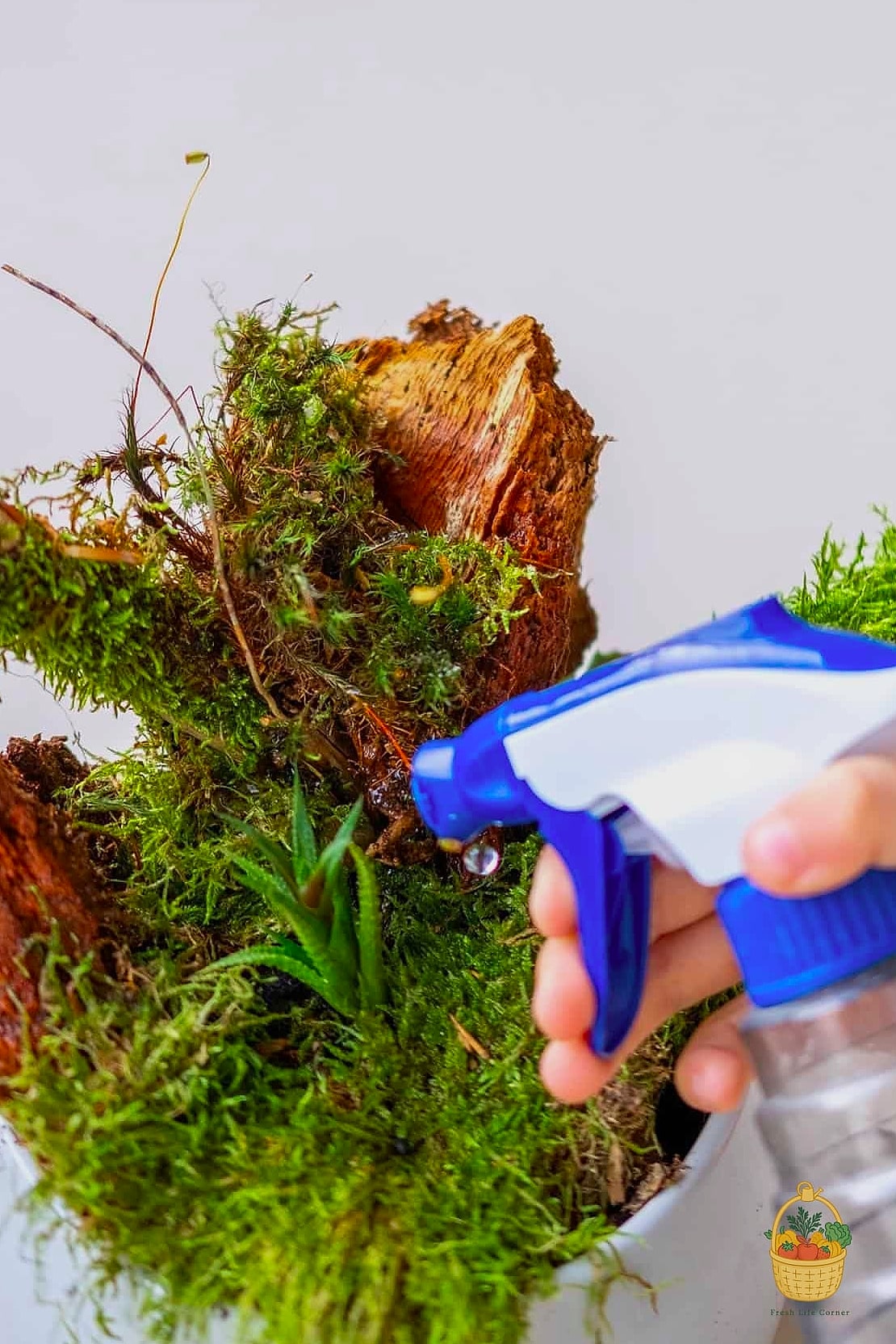 Watering Without Overdoing It
