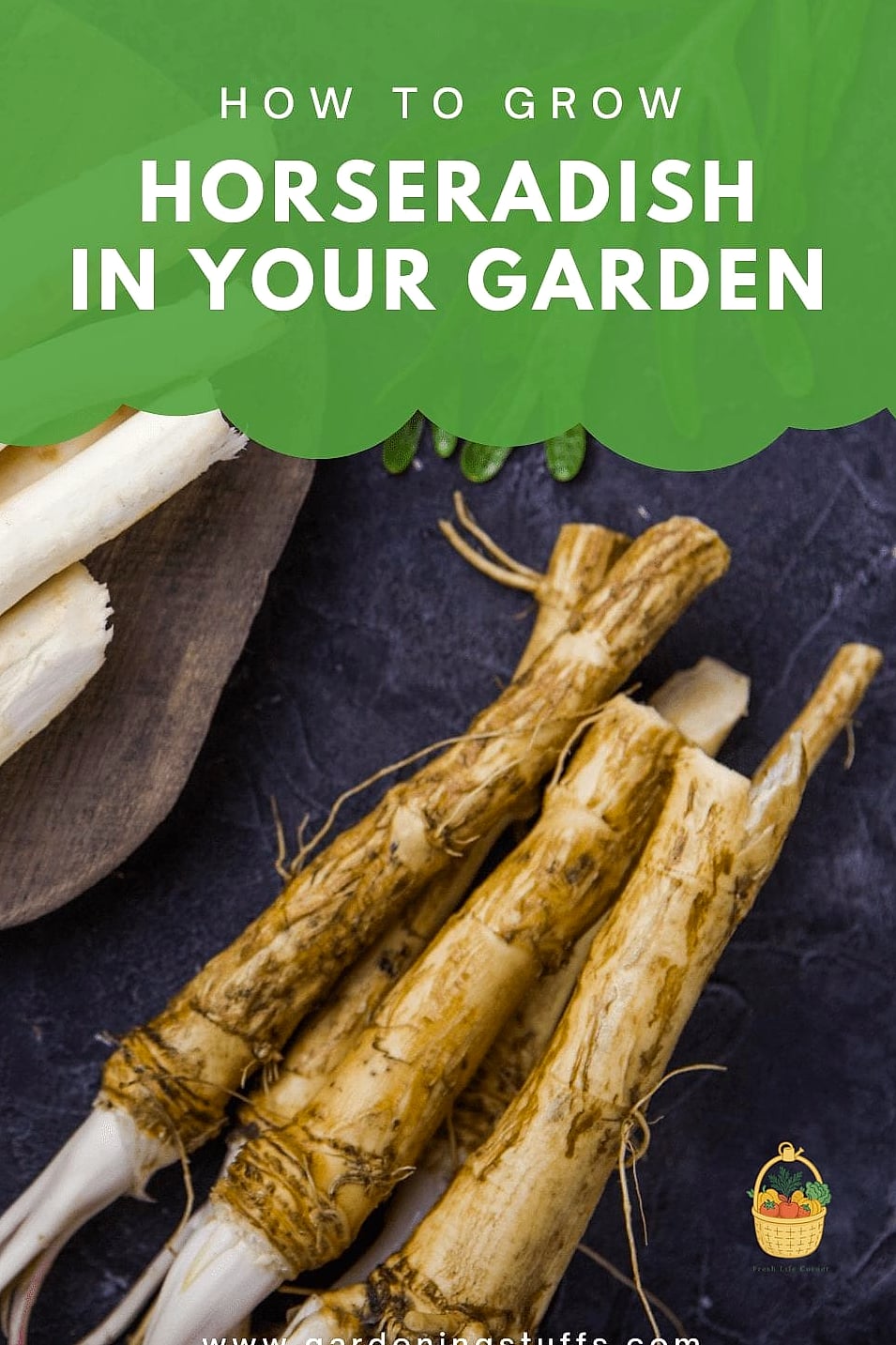 Why Gardeners Love It